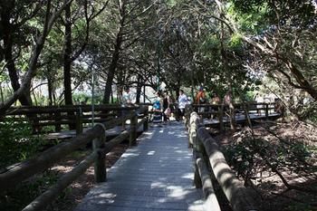 Palm Court Noosa - Accommodation Port Macquarie 10