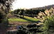Forrest Hills Ridge - thumb 3