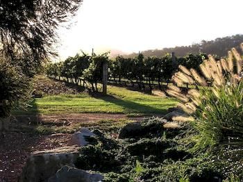 Forrest Hills Ridge - Accommodation Port Macquarie 3