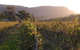 Forrest Hills Ridge - thumb 7