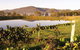 Forrest Hills Ridge - thumb 9