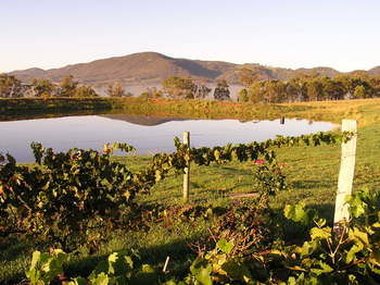 Forrest Hills Ridge - Accommodation Port Macquarie 9