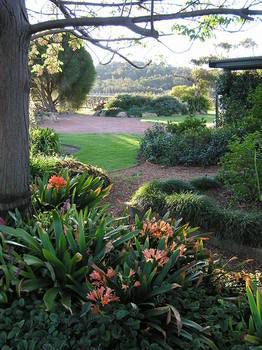 Forrest Hills Ridge - Accommodation Port Macquarie 11
