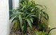 By The Beach B&B And Apartments - thumb 5