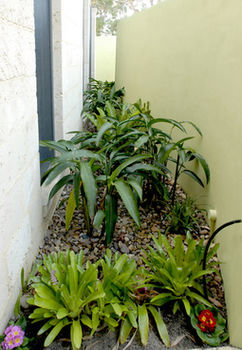 By The Beach B&B And Apartments - Accommodation Port Macquarie 5