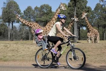 Zoofari Lodge, Taronga Western Plains Zoo - Accommodation Port Macquarie 7