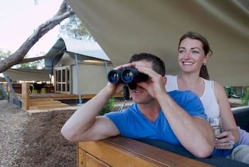 Zoofari Lodge, Taronga Western Plains Zoo - Accommodation Port Macquarie 12