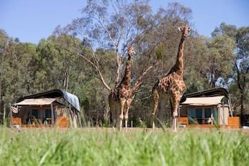 Zoofari Lodge, Taronga Western Plains Zoo - Accommodation Port Macquarie 13