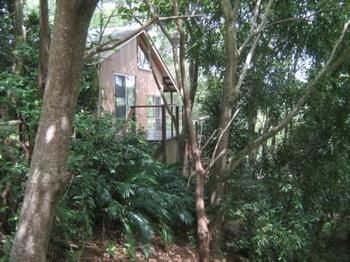 Belle's At Montville - Accommodation Port Macquarie 0