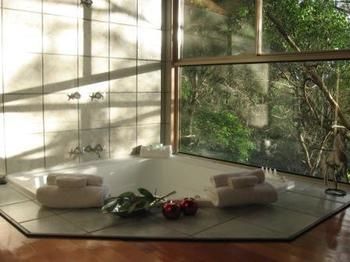 Belle's At Montville - Accommodation Port Macquarie 13