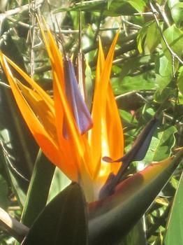 Sunshine Valley Cottages - Accommodation Port Macquarie 1