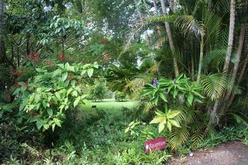 Sunshine Valley Cottages - Accommodation Port Macquarie 8