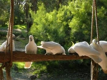 The Burrow At Wombat Bend - Accommodation Port Macquarie 5