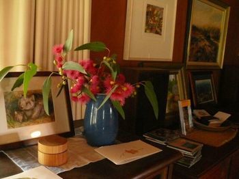 The Burrow At Wombat Bend - Accommodation Port Macquarie 21