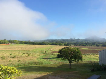 Eumundi Gridley Homestead B&B - Accommodation Port Macquarie 6