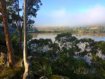 Ferndale - Accommodation Port Macquarie 9