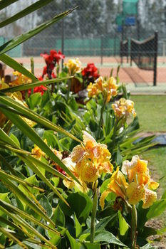 Morpeth Lodge Motel - Accommodation Port Macquarie 11