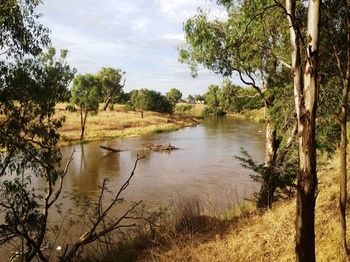 Ranelagh Bed And Breakfast - Accommodation Port Macquarie 1