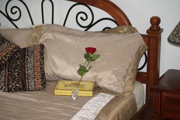 Kingfishers Manor @ Noosa - Accommodation Port Macquarie 16