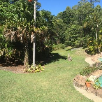 Kingfishers Manor @ Noosa - Accommodation Port Macquarie 30