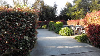 Branxton House Motel, Hunter Valley - Accommodation Port Macquarie 13