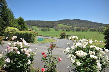 Langbrook Estate Cottages - Accommodation Port Macquarie 15