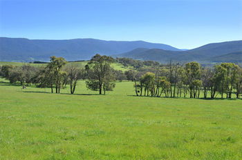 Langbrook Estate Cottages - Accommodation Port Macquarie 16