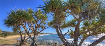 Alex Beach Cabins - Accommodation Port Macquarie 1