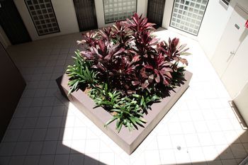 Newtown Mews - Accommodation Port Macquarie 6