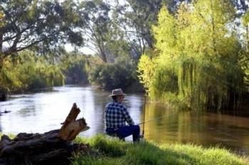 Riverglade Caravan Park - Accommodation Port Macquarie 1