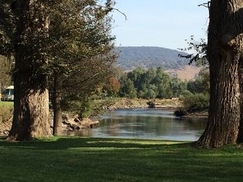 Riverglade Caravan Park - Accommodation Port Macquarie 5