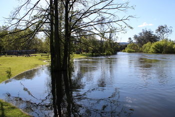 Riverglade Caravan Park - Accommodation Port Macquarie 11