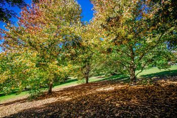 Avoca Valley Bed & Breakfast - Accommodation Port Macquarie 14