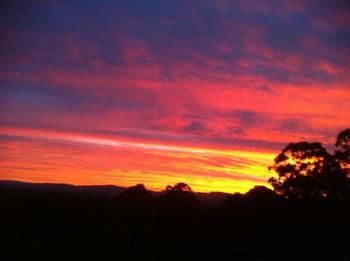 Rothbury Escape - Accommodation Port Macquarie 11