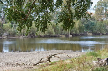 Gundagai Cabins & Tourist Park - Accommodation Port Macquarie 34