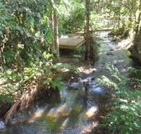 Treetops Accommodation Montville - Accommodation Port Macquarie