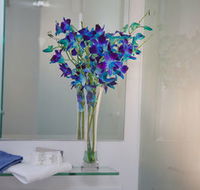 Grand Hotel Wyong - Accommodation Port Macquarie