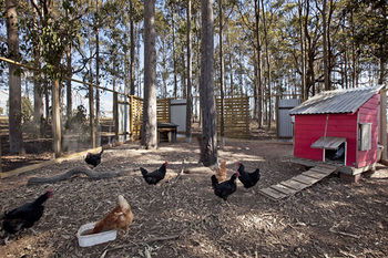 Block Eight - Accommodation Port Macquarie 10