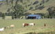 The Wattle Lodge - thumb 19