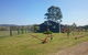 The Wattle Lodge - thumb 22