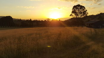 The Wattle Lodge - Accommodation Port Macquarie 35