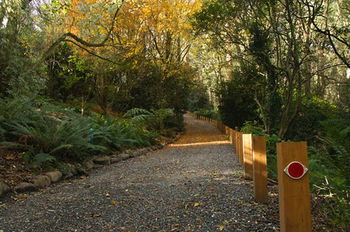 Santosa Cottage - Accommodation Port Macquarie 8