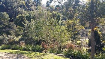 Copeland Cabins - Accommodation Port Macquarie 2
