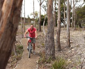 Tranquil Point Retreat - Accommodation Port Macquarie 1