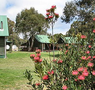 Derwent Bridge Chalets  Studios - Accommodation Port Macquarie