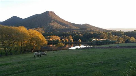 Cathedral Valley Farm - Accommodation Port Macquarie 2