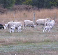 Auberge Woodend - Accommodation Port Macquarie