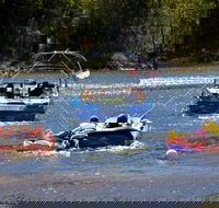 Lake Dyer - Accommodation Port Macquarie