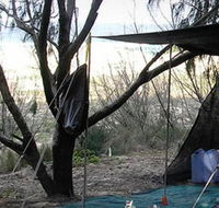 Main Beach Foreshore Camping Grounds - Accommodation Port Macquarie