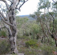 The Glen - Accommodation Port Macquarie
